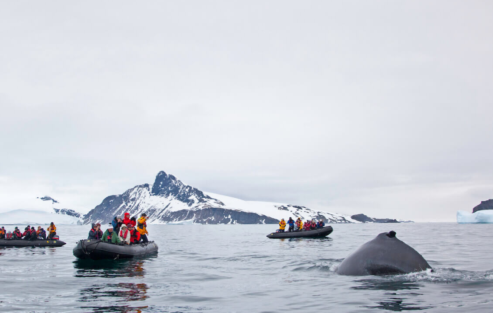 between-tierra-del-fuego-and-antarctica-2