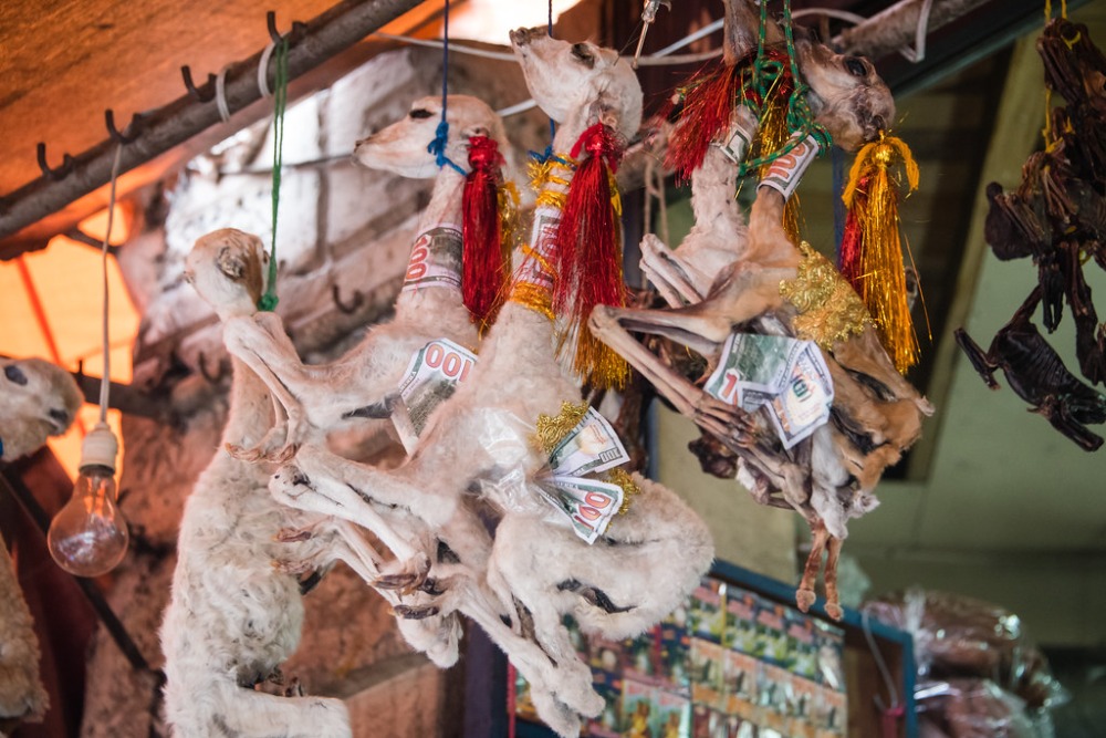 witches-market-bolivia-1