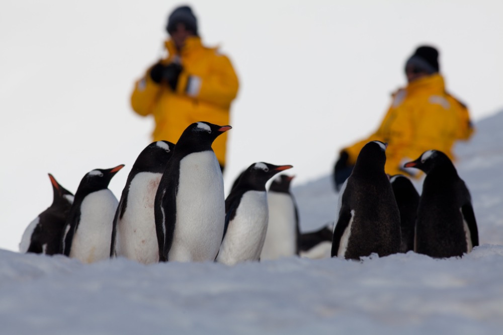 between-tierra-del-fuego-and-antarctica-5