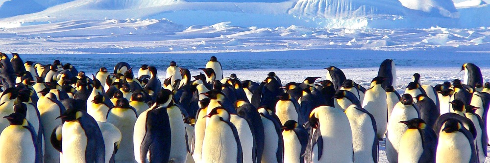 between-tierra-del-fuego-and-antarctica-8